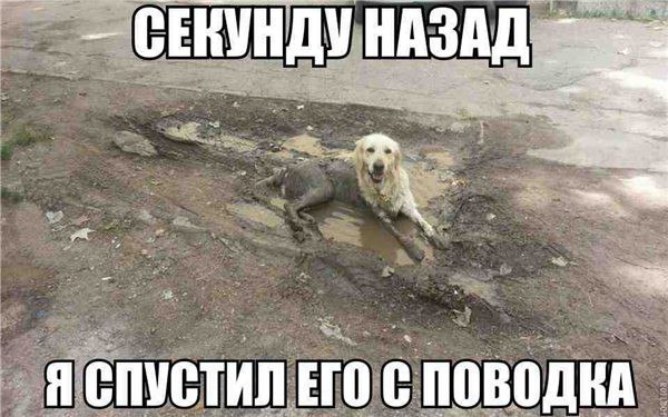 Всякое разное из интернета