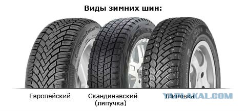 Опрос. Что выбирает ЯП, шипы или липучка