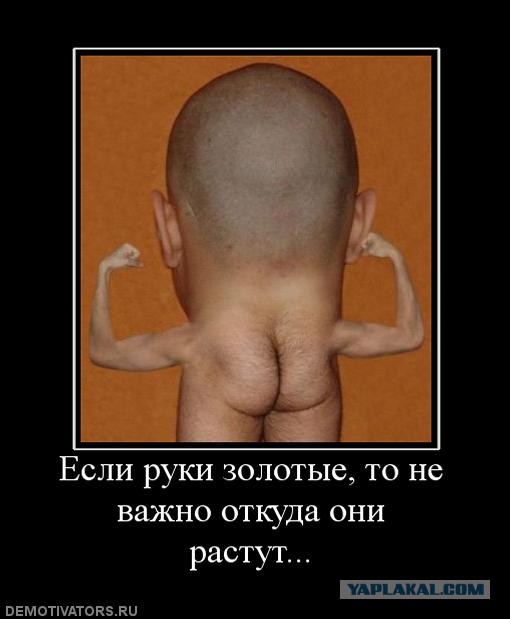 Смешные картинки из сети на 26.10.16