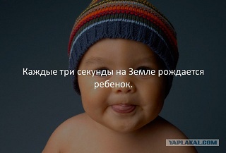 40 интересных фактов в картинках. Продолжение