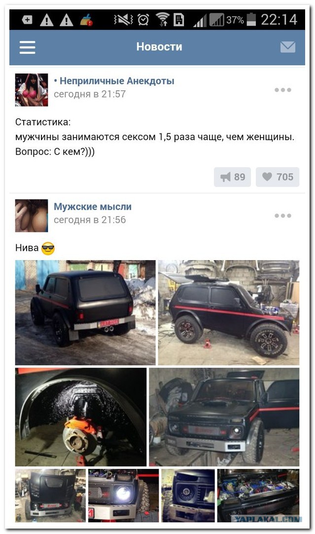 Ужасы и приколы из соцсетей 18+
