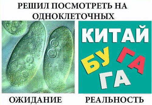 Маразмом по понедельнику