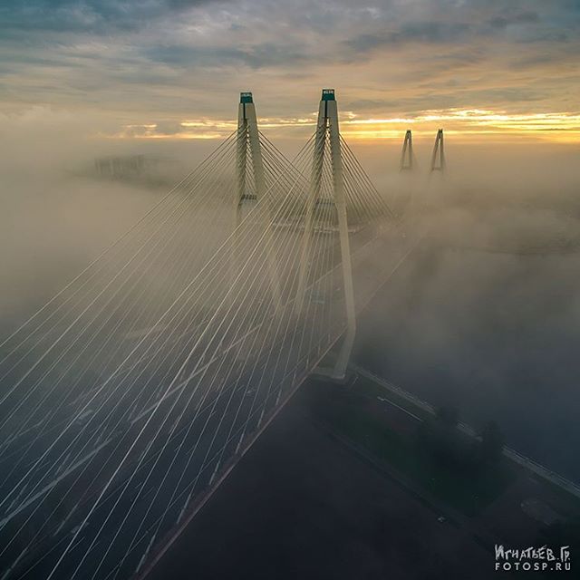 Моменты, запечатлённые на фото и просто позитив 5