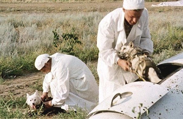 Подборка интересных и веселых картинок