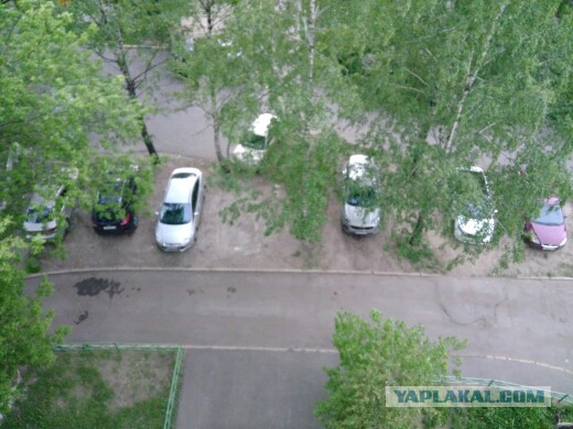 А у нас только Путин во всем виноват?