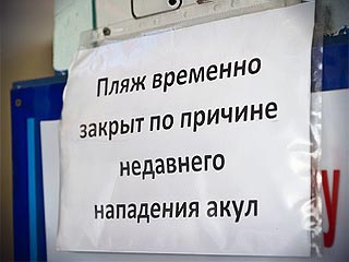 Не попал на море в этом году? Отведи душу, посмотри этот пост!
