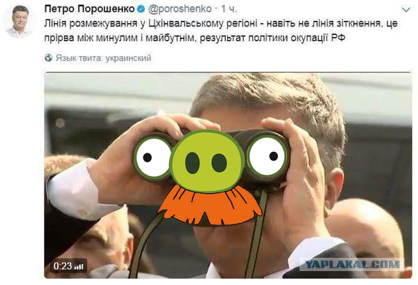 Подборка интересных и веселых картинок