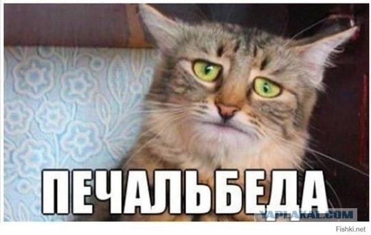 Учительницу, переспавшую с учеником в самолёте, сдал завистливый одноклассник