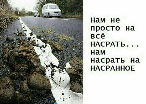 134 картинки для поднятия настроения!