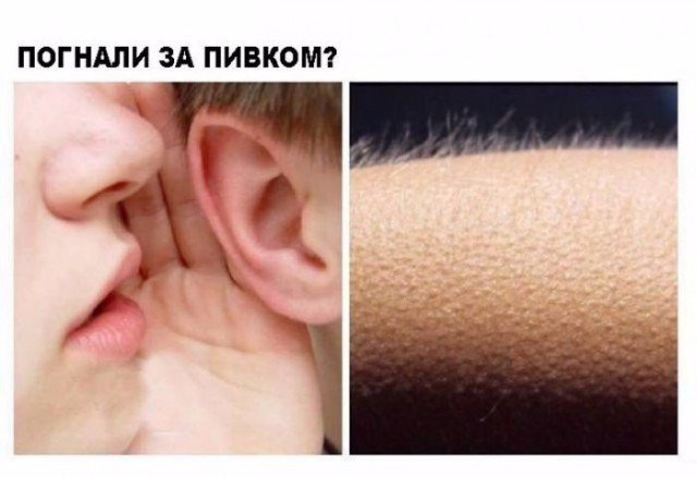 Всякая всячина