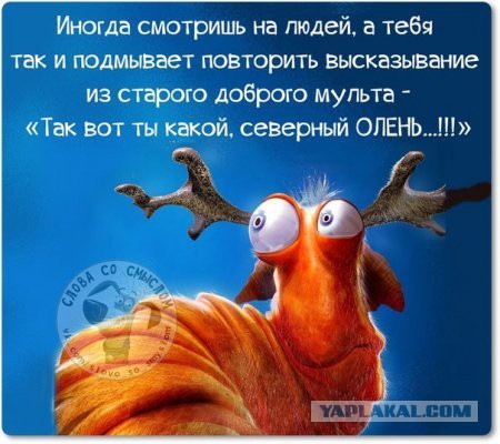 Измена жены-сможете простить?