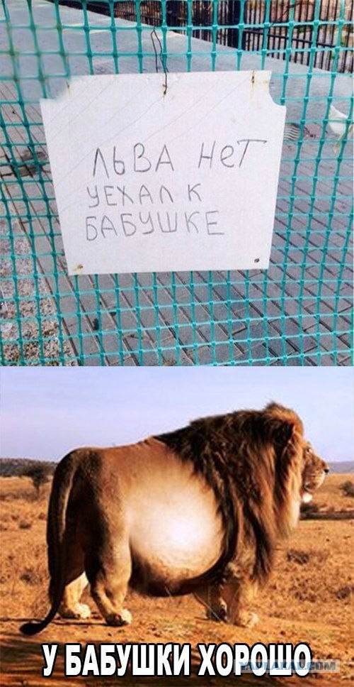 Чёрненькая деградация к выходным. Ура!