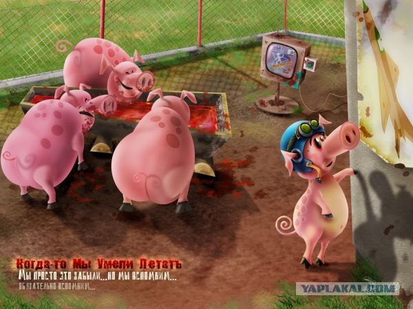 Уровень жизни в России, Корее и США.