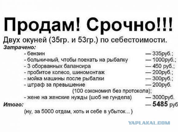 Подборка прикольной рекламы и объявлений