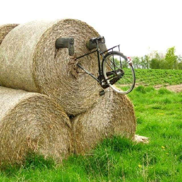 Немного картинок на вторник