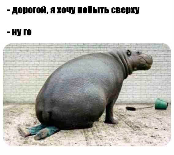 Чёрный вторник наступил! Тёмные силы вырвались на свободу...