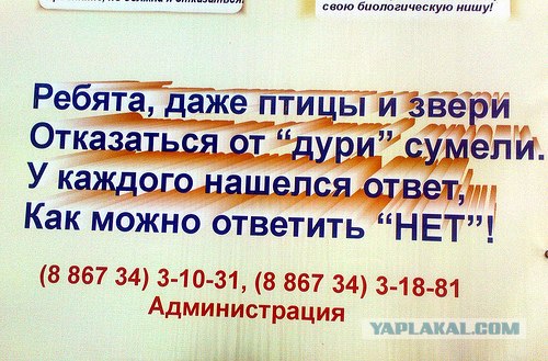 Конкурс "РАБ"