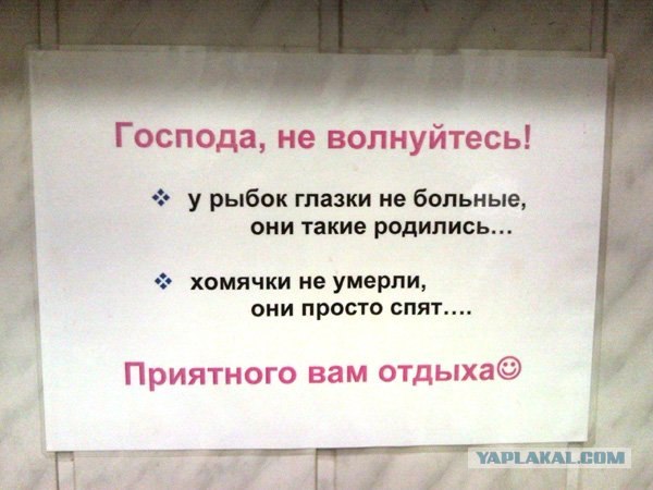 Объявления