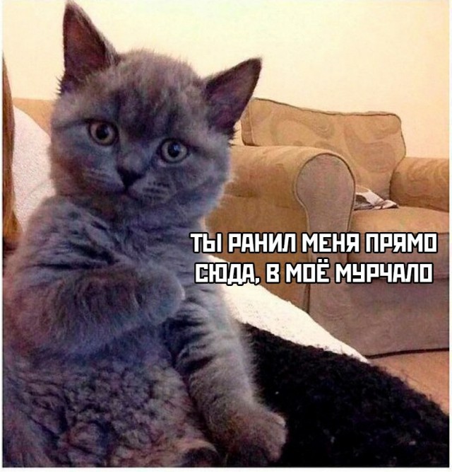 Одиночество