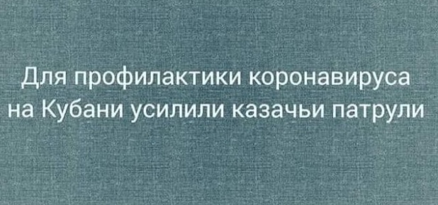 Как я представляю себе борьбу с короновирусной инфекцией в России