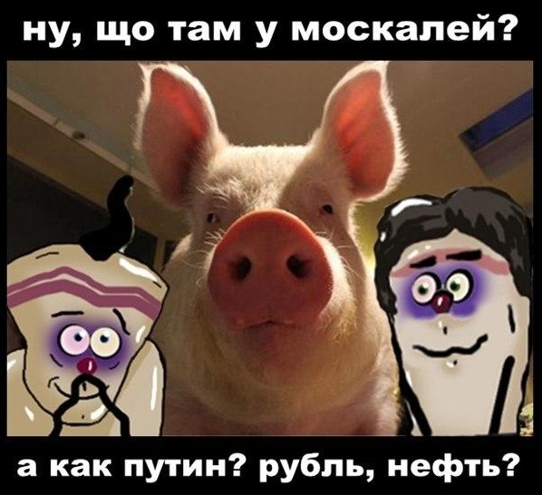 Почему обнуление путина победит