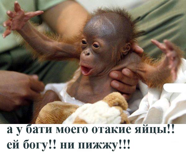 Простое человеческое счастье в картинках