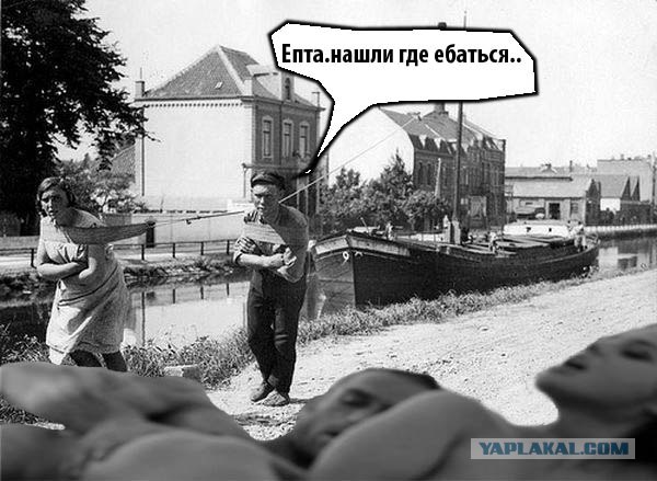 Фотожаба: Тут медвед не проходил?