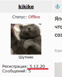 Котик сделает лучше любой логотип