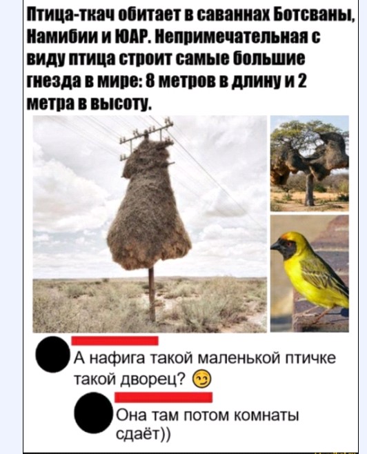 Картинки и мемы для настроения 009