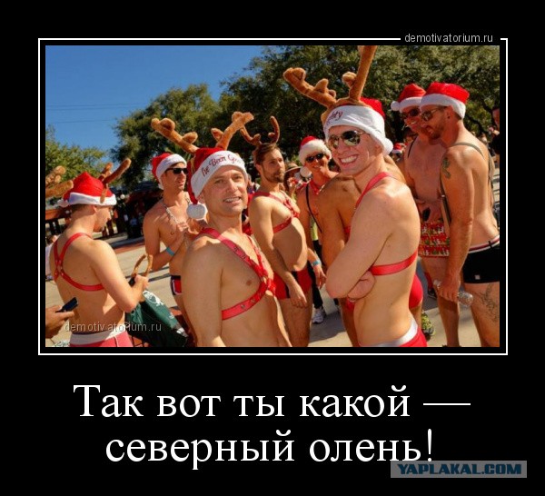 Волшебный мир квестов