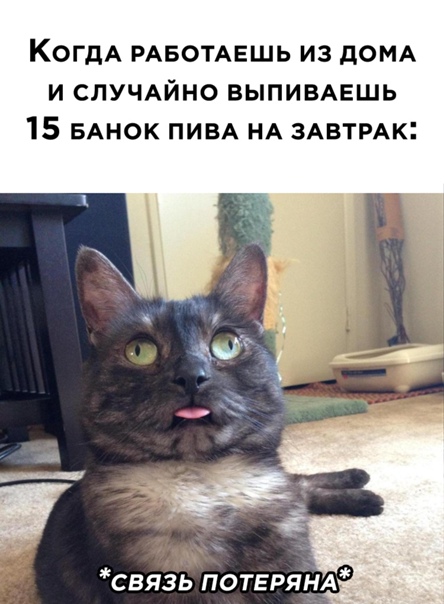Картинки и мемы для настроения 005