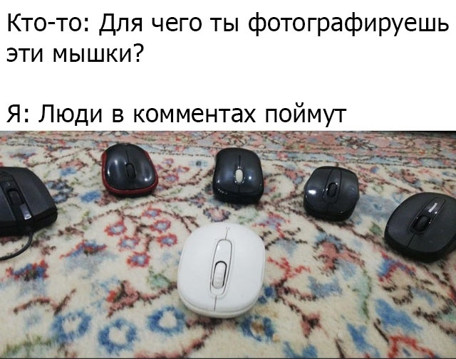 Весёлый полтишок 4.04