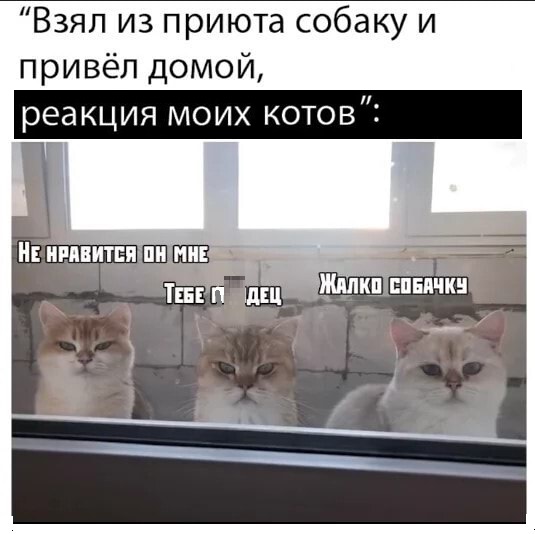 Картинки с надписями и всякие жизненные фразы 06.04.21