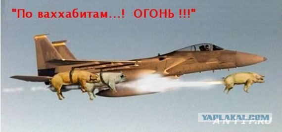 Смерть талиба (21+)