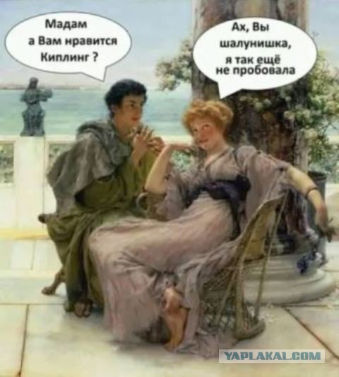 Всяческие картинки 09.07.2021