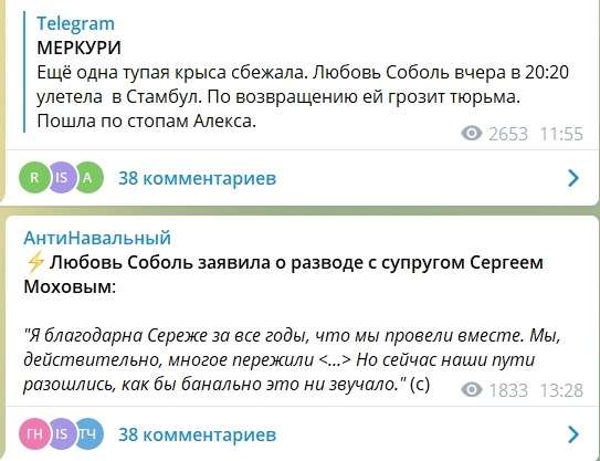 Любовь Соболь покинула Россию, несмотря на запрет