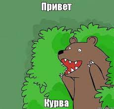 «Как какать в лесу?» — в Польше установили информационные таблички о правилах дефекации на природе