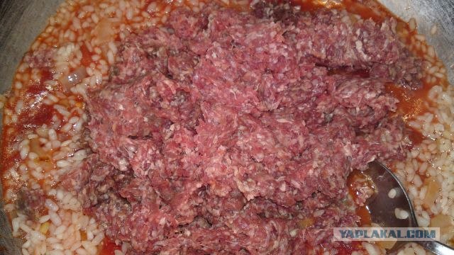 Долма с двуми начинками.