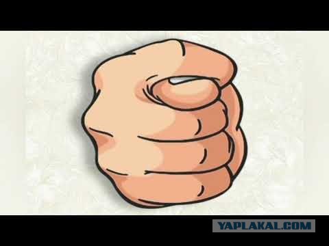 Знакомьтесь. Рыжик Владимирский