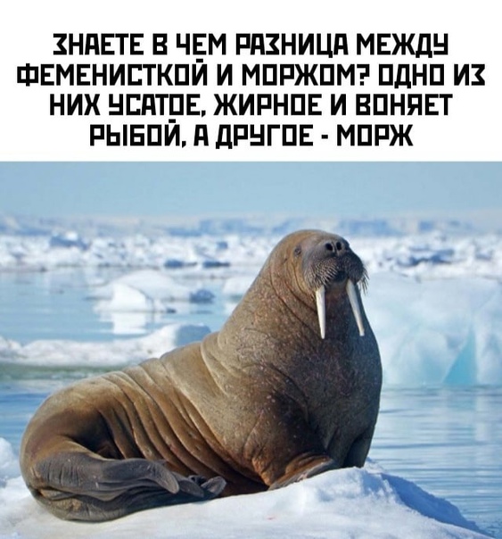 Картинки и мемы, всем прекрасных выходных