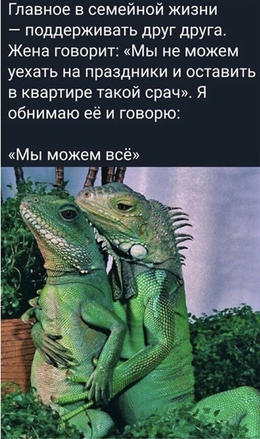 Баянисто-небаянистый юмор 15.11.21