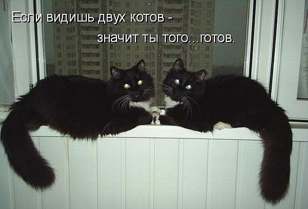 Пандемия. Коронавирус. Россия и мир. Часть 29