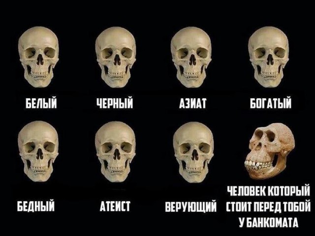 Угадайте кто. По черепу.