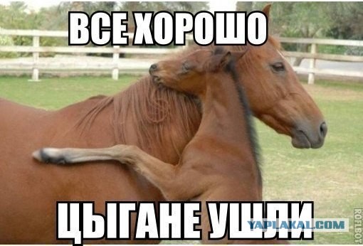 РХЧП по-индуски