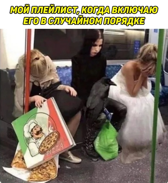Весёлый полтишок 5.08.22