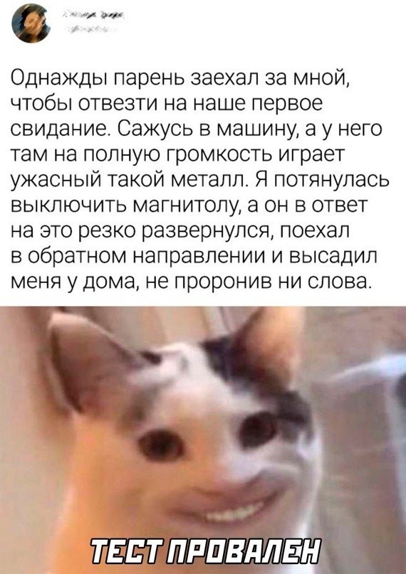 Весёлый полтишок 02.10.22