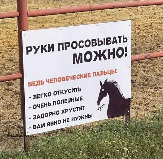 Картинки и мемы, всем хороших выходных