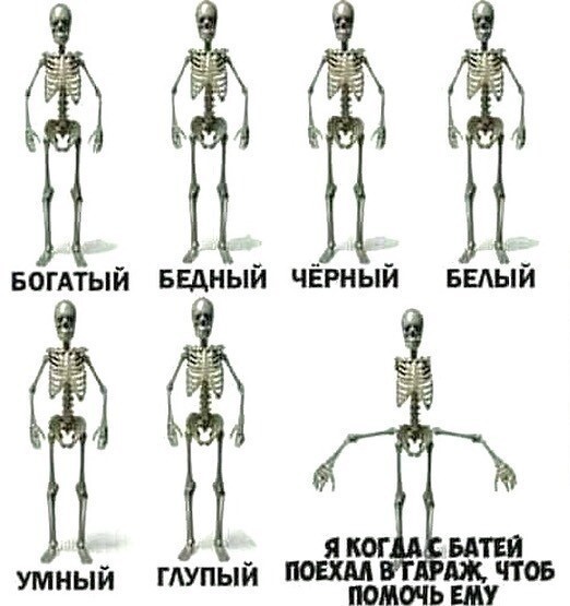 20 любопытных фото, которые хочется разглядывать