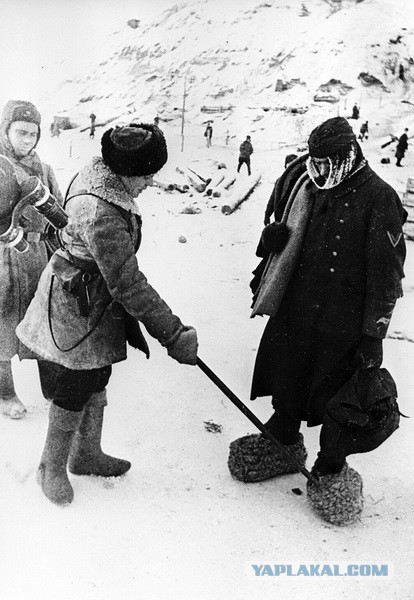 "Немцы лучше замёрзнут, чем вновь капитулируют перед русскими!" — интервью