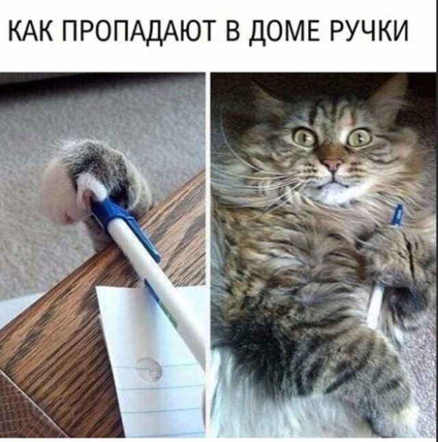 Немного картинок для настроения - 127